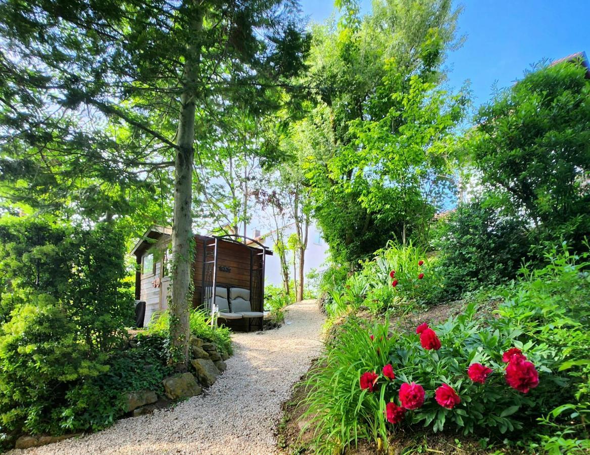 Gardenview Apartments & Suites Bei Bad Kissingen Nüdlingen Екстериор снимка