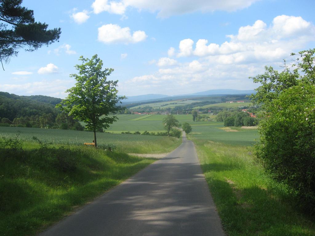 Gardenview Apartments & Suites Bei Bad Kissingen Nüdlingen Екстериор снимка